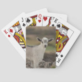 Schattig Kind Pokerkaarten (Achterkant)