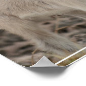 Schattig Kind Poster (Hoek)