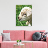 Schattig Kind van geiten — Afdrukken (Insitu (Woonkamer))