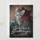 Schattig Kitten (Voorkant)