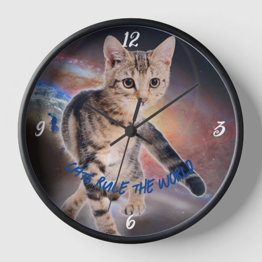 Schattig kitten (Voorkant)