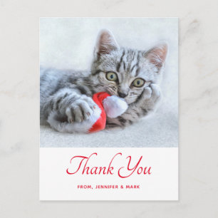 Schattig Kitten Dat Rood Kerstmannenhoedje Bijt Ke Briefkaart