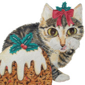 schattig kitten grijs tafeltje door op paw kerst t kleine kerstsok