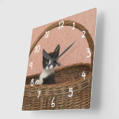 Schattig kitten in mandje vierkante klok (Hoek)