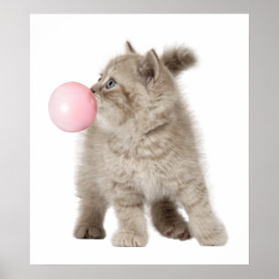 Schattig Kitten Kat Bubble Gum Kinderkamer Kind Poster