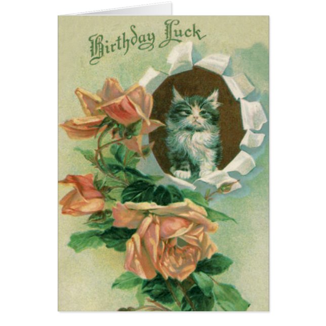 Schattig Kitten Kat Roos Rozen (Voorkant)