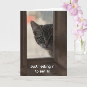 Schattig Kitten Kijkt Door Het Raam En Denkt Aan J Kaart