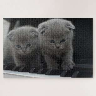 Schattig Kitten Legpuzzel