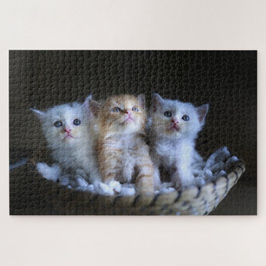 Schattig Kitten Legpuzzel (Horizontaal)