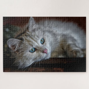 Schattig Kitten Legpuzzel