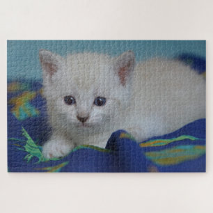 Schattig Kitten Legpuzzel