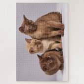 Schattig Kitten Legpuzzel (Verticaal)