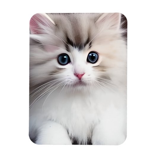 Schattig Kitten Magneet (Verticaal)