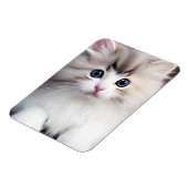 Schattig Kitten Magneet (Linkerzijde)