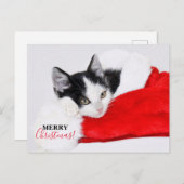 Schattig Kitten met Kerstman Hoed Feestdagenkaart (Voorkant / Achterkant)