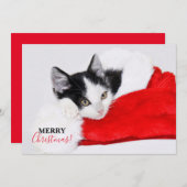 Schattig Kitten met Kerstman Hoed Feestdagenkaart (Voorkant / Achterkant)