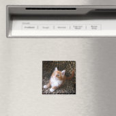Schattig kitten op luipaard print vierkante magnee magneet (Insitu (Vaatwasser))