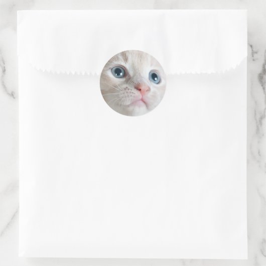 Schattig Kitten  Ronde Sticker (Tas)