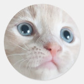 Schattig Kitten  Ronde Sticker (Voorkant)