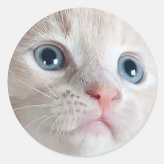 Schattig Kitten  Ronde Sticker (Voorkant)