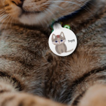 Schattig klein bruin katje met een eenvoudige stij