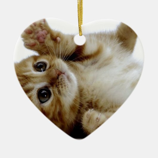 schattig klein kattengembertje keramisch ornament (Voorkant)