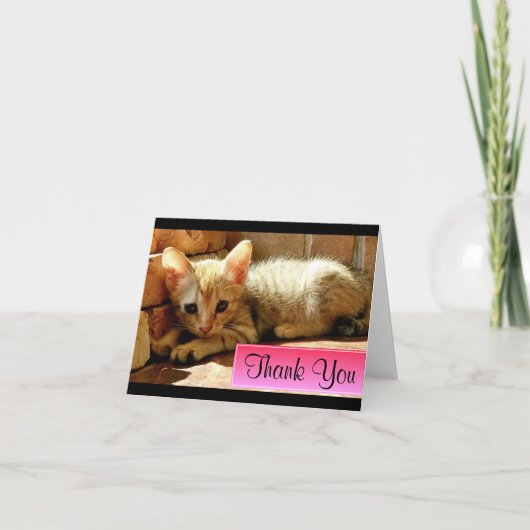 Schattig Klein Kitten Dank Je Bedankkaart (Voorkant)