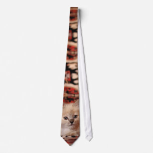 Schattig Klein Kitten Stropdas