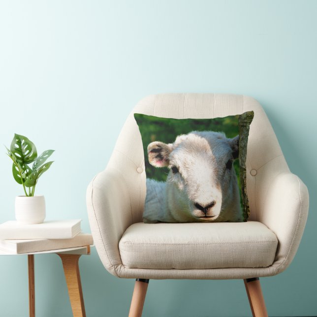 SCHATTIG KLEIN SCHAAP KUSSEN (Stoel)