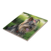 Schattig Klein Yorkshire Terrier Hond Tegeltje (Zijkant)
