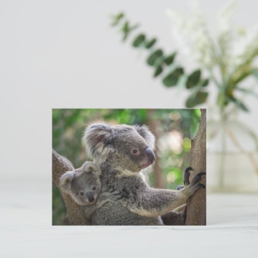 Schattig Koala Beer & Cub Australisch Dier Briefkaart (Staand voorkant)