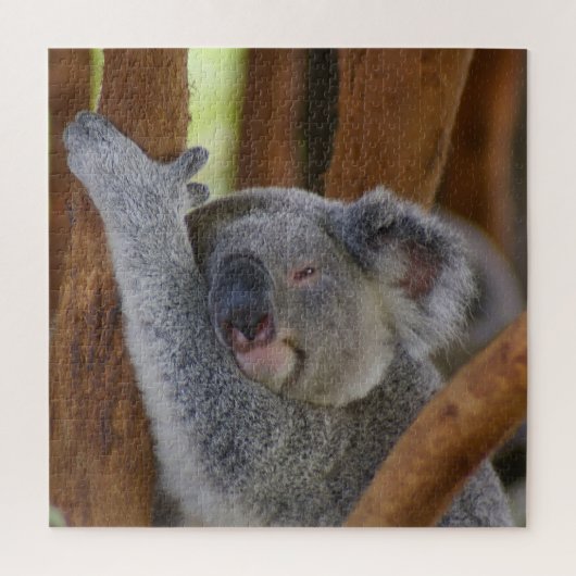 Schattig Koala Beer Legpuzzel (Verticaal)