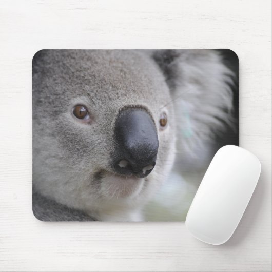 Schattig Koala Beer Muismat (Met muis)
