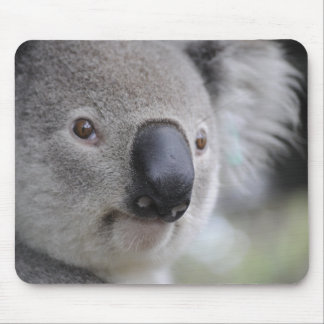 Schattig Koala Beer Muismat