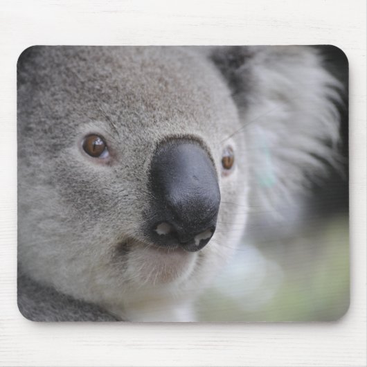 Schattig Koala Beer Muismat (Voorkant)