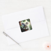 Schattig Koala Beer Vierkante Sticker (Envelop)