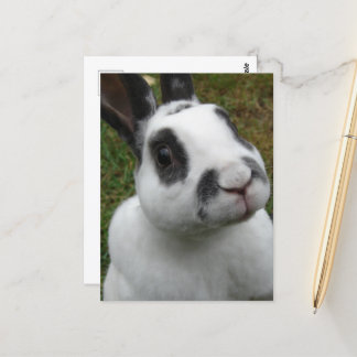 Schattig konijn briefkaart