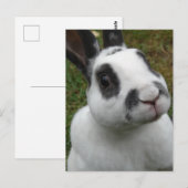 Schattig konijn briefkaart (Voorkant / Achterkant)