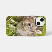 Schattig Konijn iPhone Hoesje (Achterkant horizontaal)
