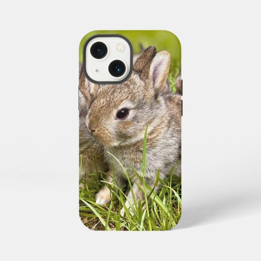 Schattig Konijn iPhone Hoesje (Achterkant)