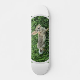 Schattig Konijn Konijn Persoonlijk Skateboard