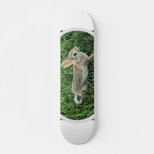 Schattig Konijn Konijn Persoonlijk Skateboard