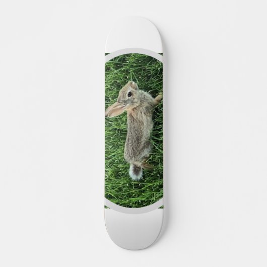 Schattig Konijn Konijn Persoonlijk Skateboard (Voorkant)