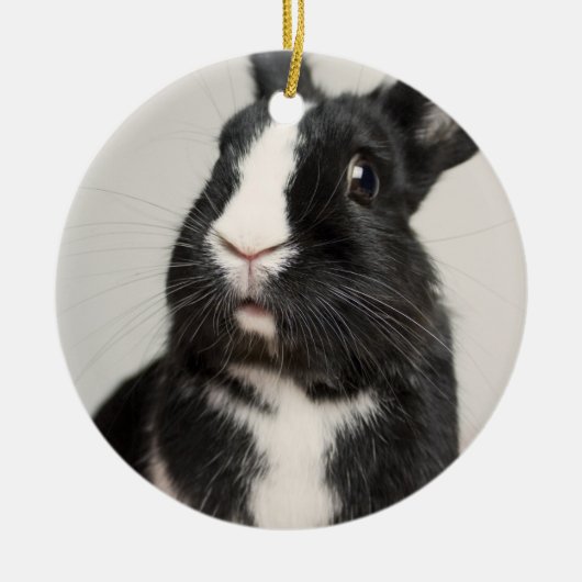 Schattig konijn met zwarte en witte bondsdolheid keramisch ornament (Voorkant)