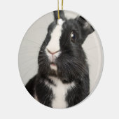 Schattig konijn met zwarte en witte bondsdolheid keramisch ornament (Links)