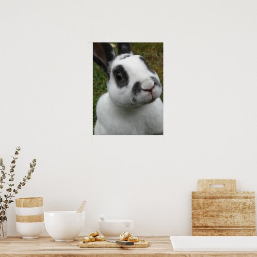 Schattig konijn poster (Keuken)
