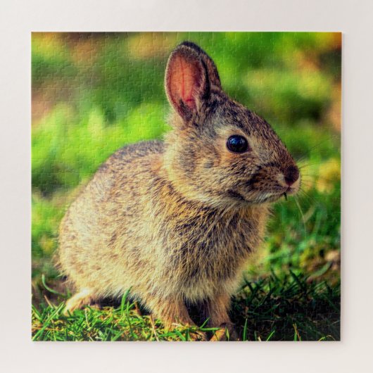 Schattig Konijntje - Schattig Legpuzzel (Horizontaal)
