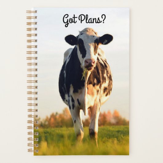 Schattig kreeg plannen Holstein Heifer in weiland Planner (Voorkant)