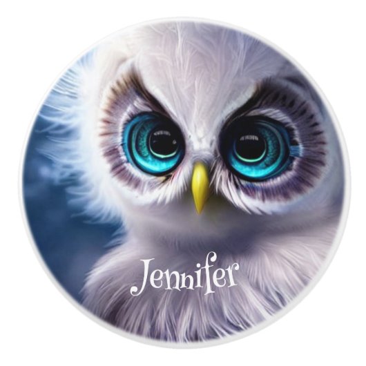 Schattig kristalblauw oog baby uil aangepaste naam keramische knop (Voorkant)