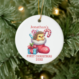 Schattig Kuiken met Egelenvacht Kerst Keramisch Ornament